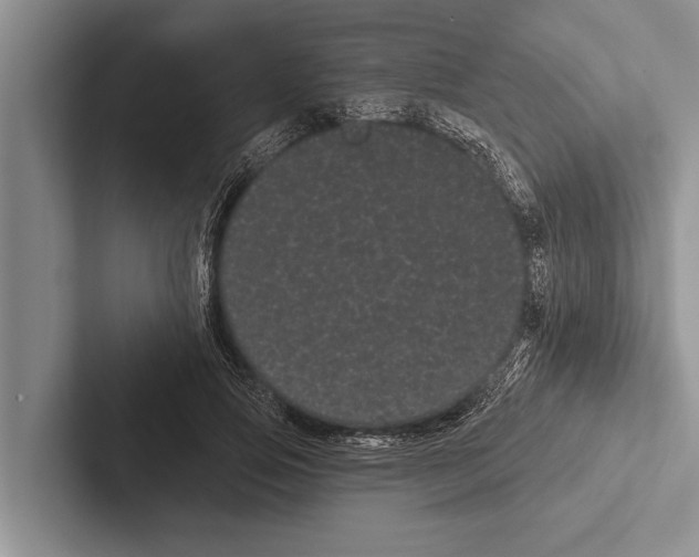 X0000102530741200809051509