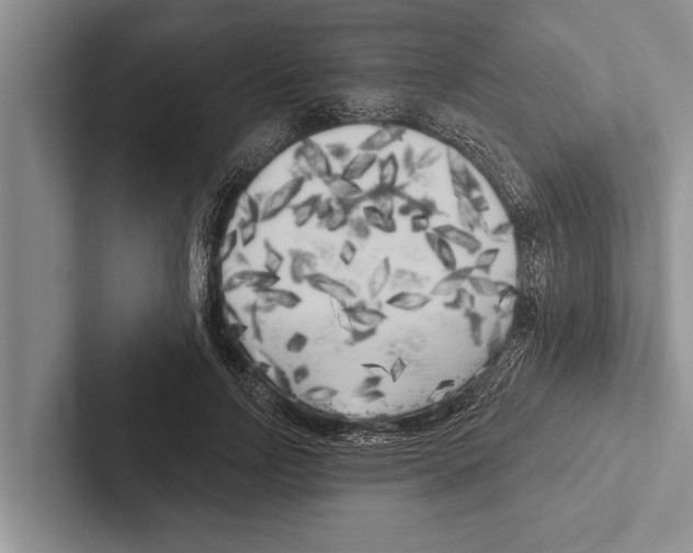 X0000102530742200809051509