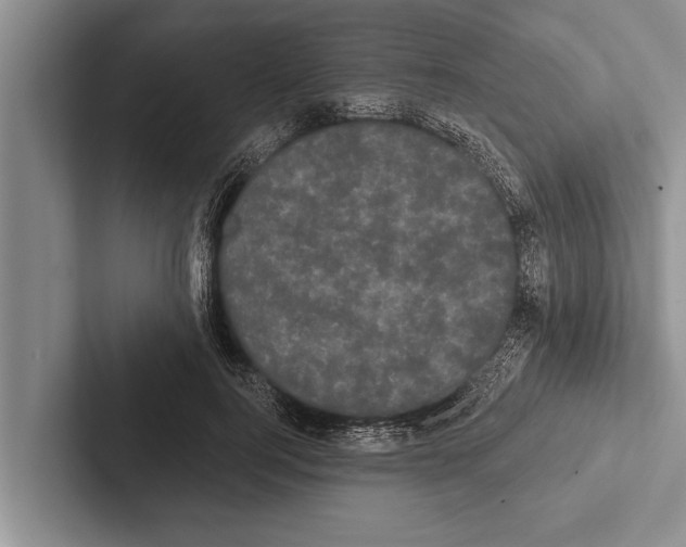 X0000102530744200809051509