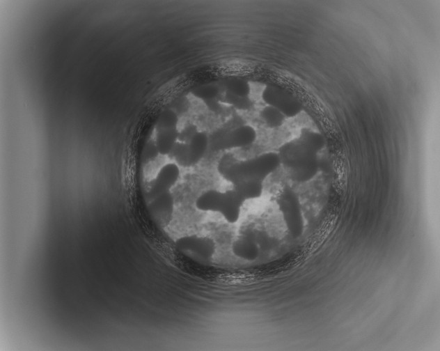 X0000102530745200809051509