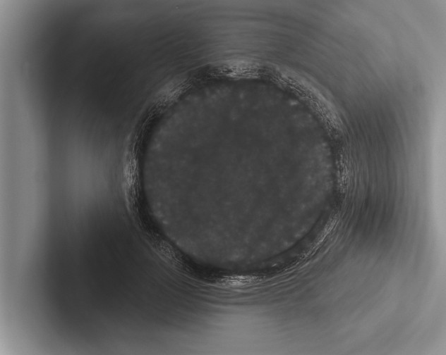 X0000102530748200809051509