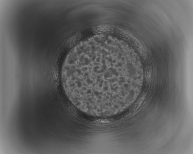 X0000102530749200809051509