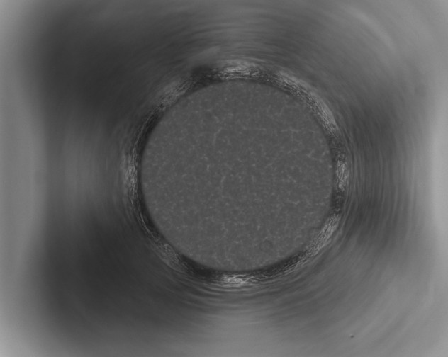 X0000102530753200809051509