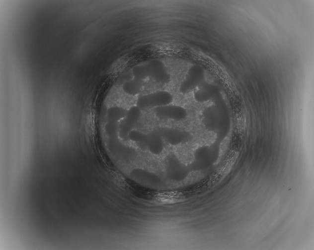 X0000102530757200809051509
