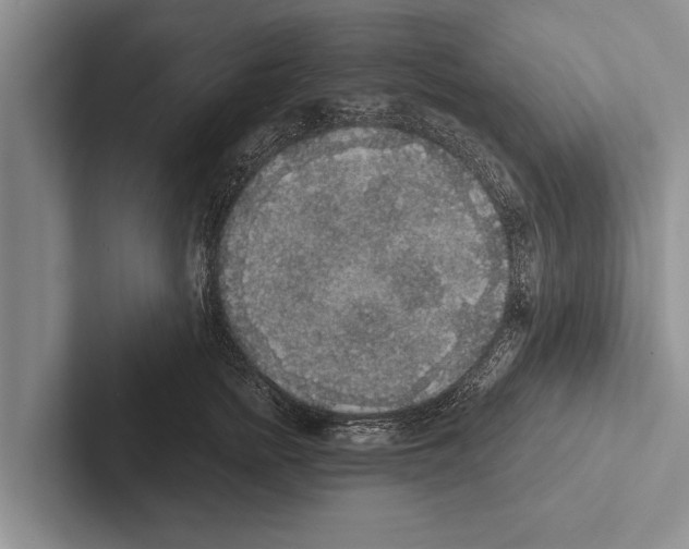 X0000102530758200809051509