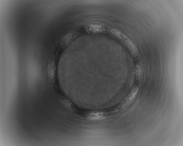 X0000102530760200809051509