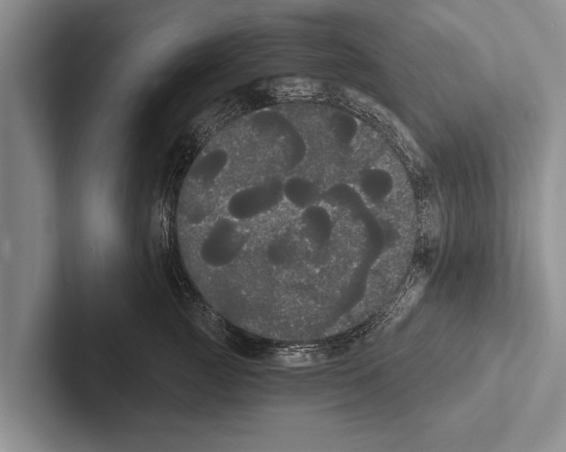 X0000102530761200809051509