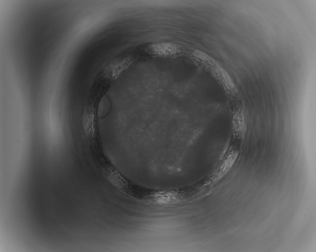 X0000102530762200809051509