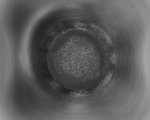 X0000102530763200809051509