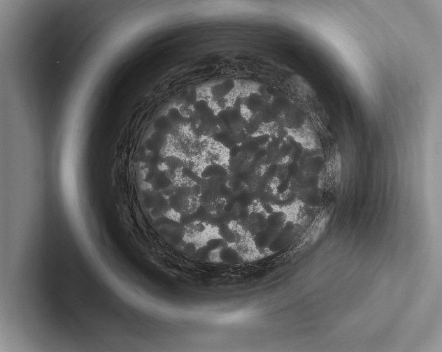 X0000102530765200809051509