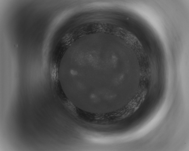 X0000102530766200809051509