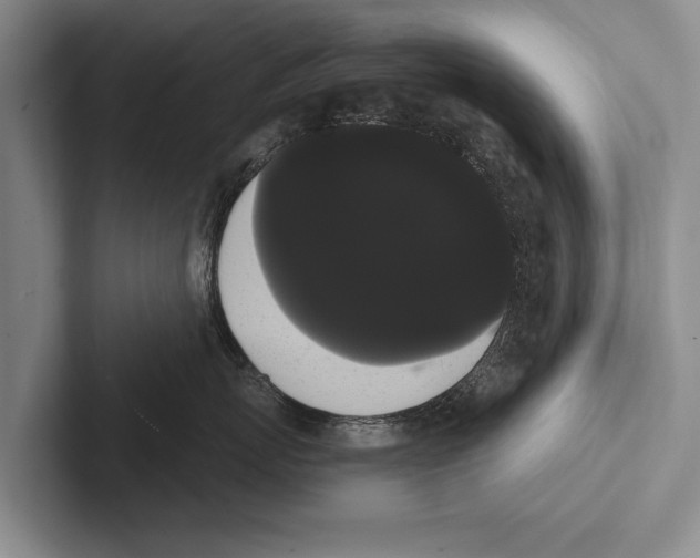 X0000102530767200809051509