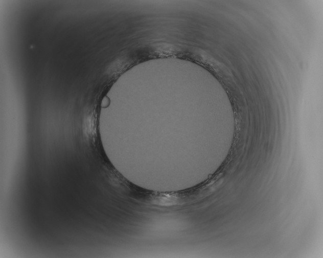 X0000102530768200809051509