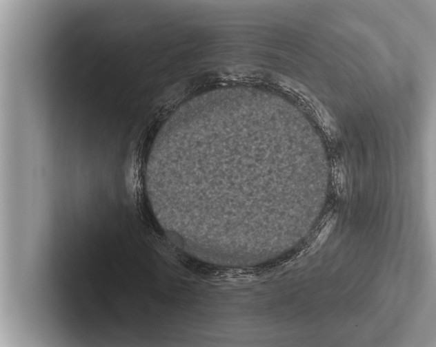 X0000102530770200809051508
