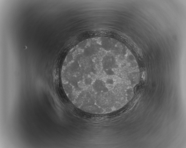 X0000102530771200809051508