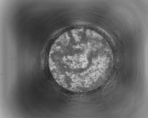 X0000102530775200809051508
