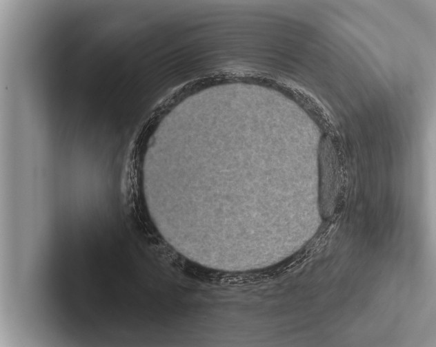 X0000102530776200809051508