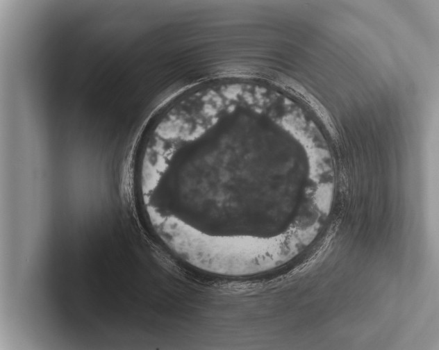 X0000102530779200809051508