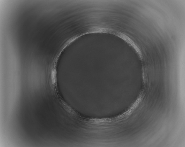 X0000102530781200809051508
