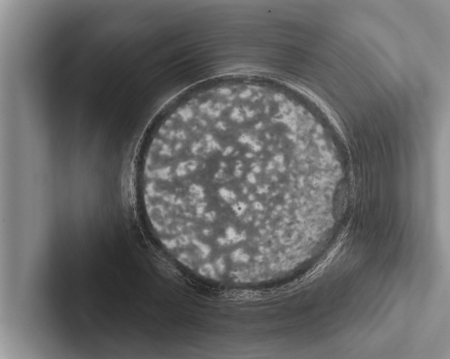 X0000102530783200809051508