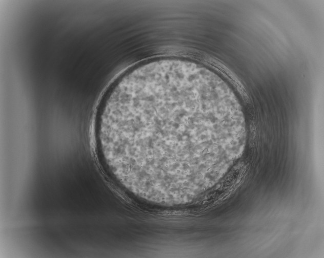 X0000102530788200809051508