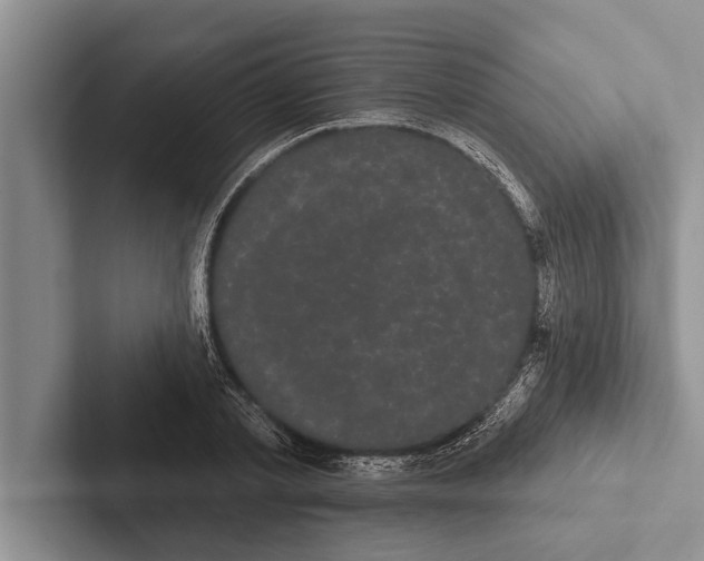 X0000102530789200809051508