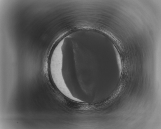 X0000102530790200809051508