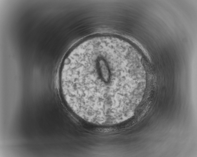 X0000102530791200809051508