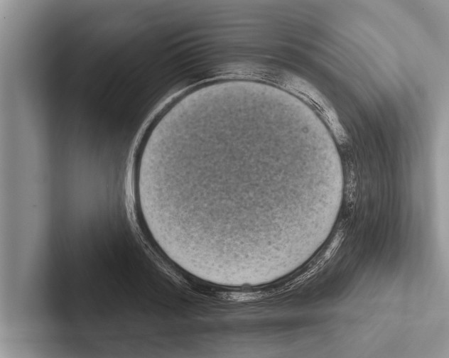 X0000102530796200809051508