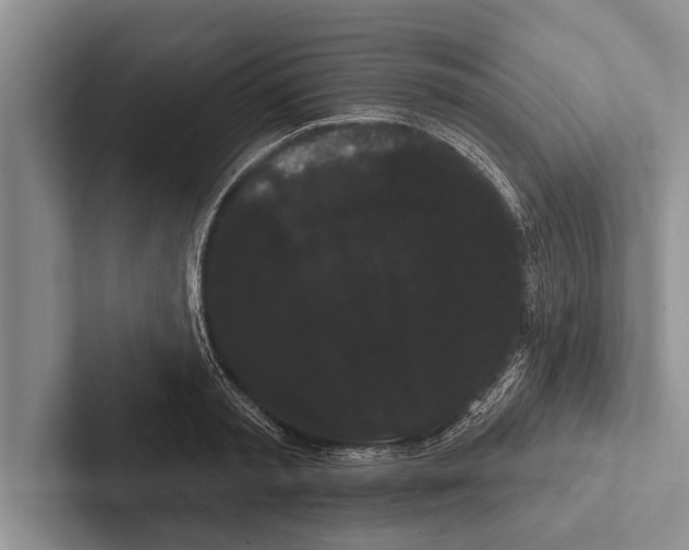 X0000102530797200809051508