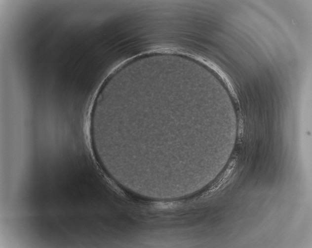 X0000102530799200809051508