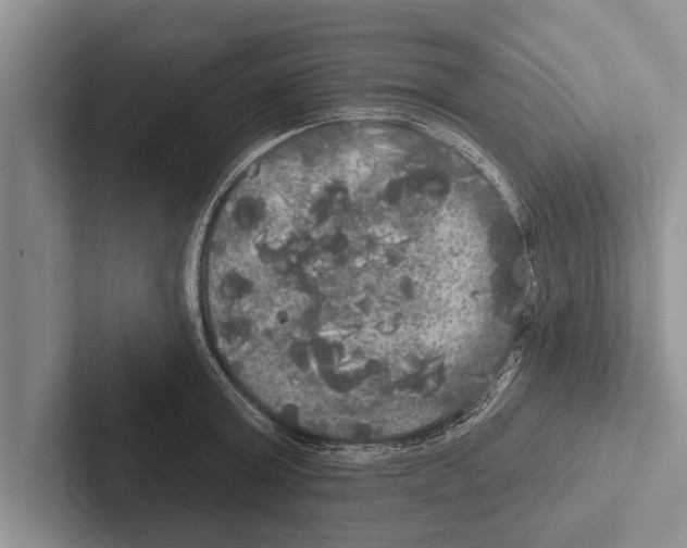 X0000102530803200809051508