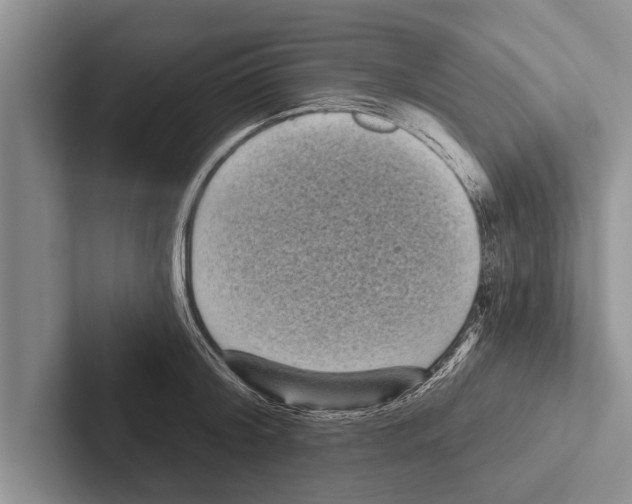 X0000102530804200809051508