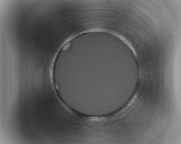 X0000102530805200809051508
