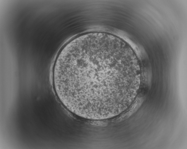 X0000102530807200809051508