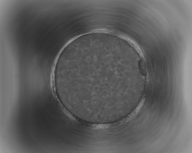 X0000102530808200809051508