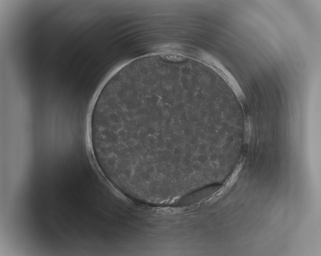 X0000102530812200809051508