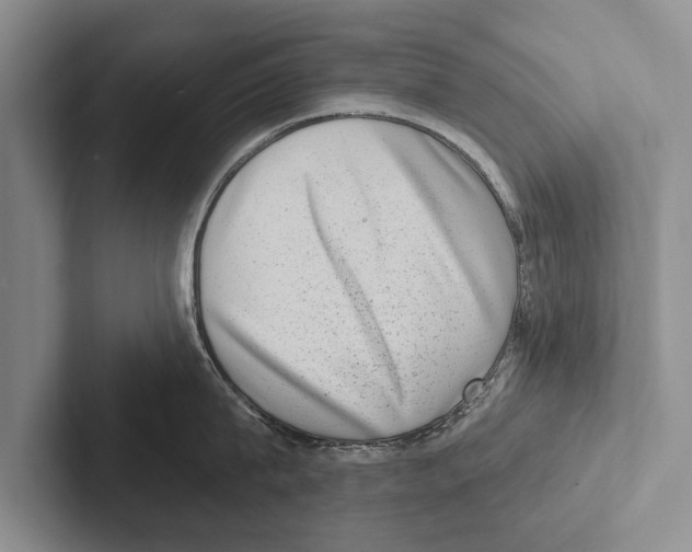 X0000102530815200809051508