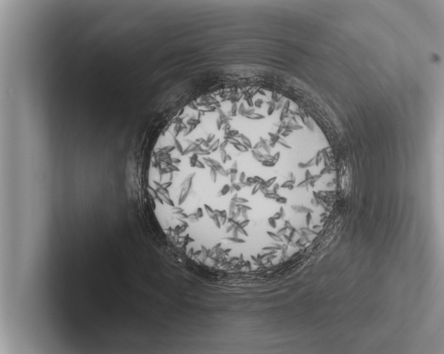 X0000102530819200809051507