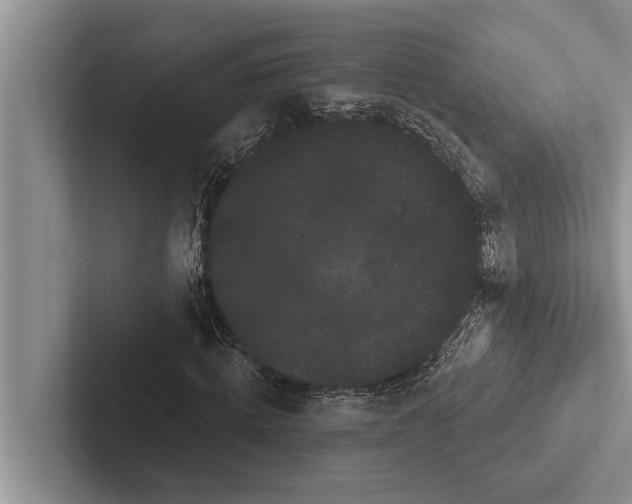 X0000102530820200809051507
