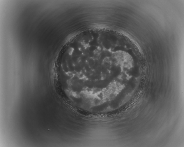 X0000102530823200809051507
