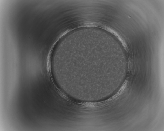 X0000102530827200809051507
