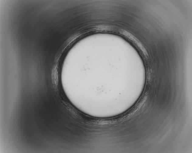 X0000102530829200809051507