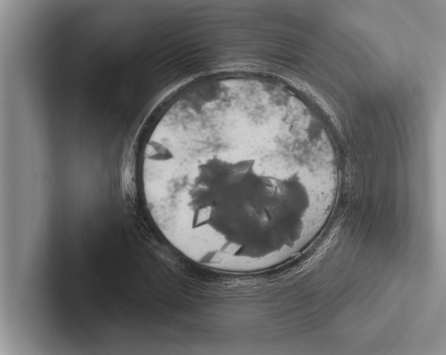 X0000102530830200809051507