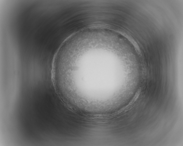 X0000102530832200809051507