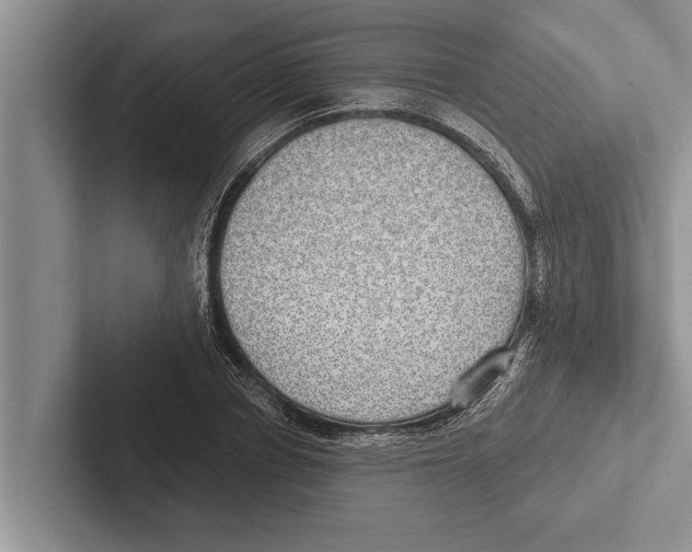 X0000102530834200809051507