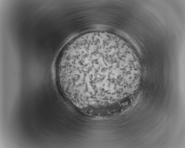X0000102530835200809051507