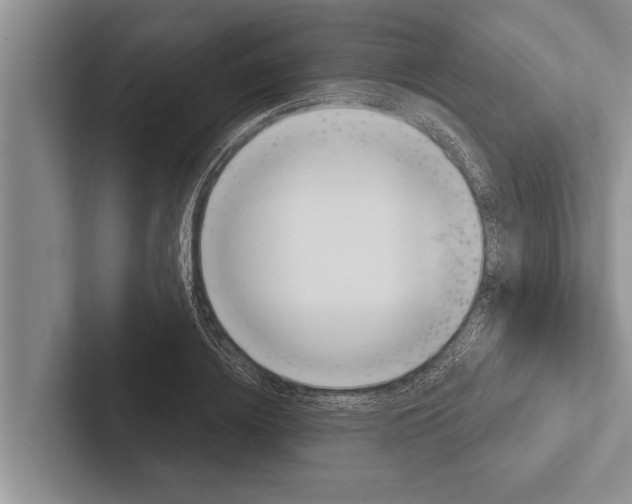 X0000102530836200809051507