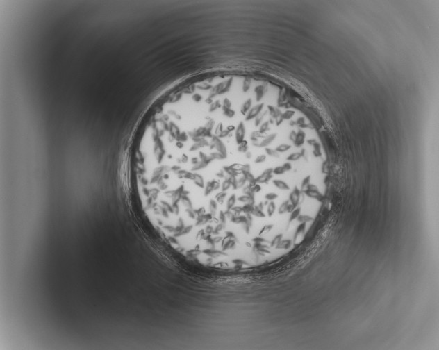 X0000102530838200809051507