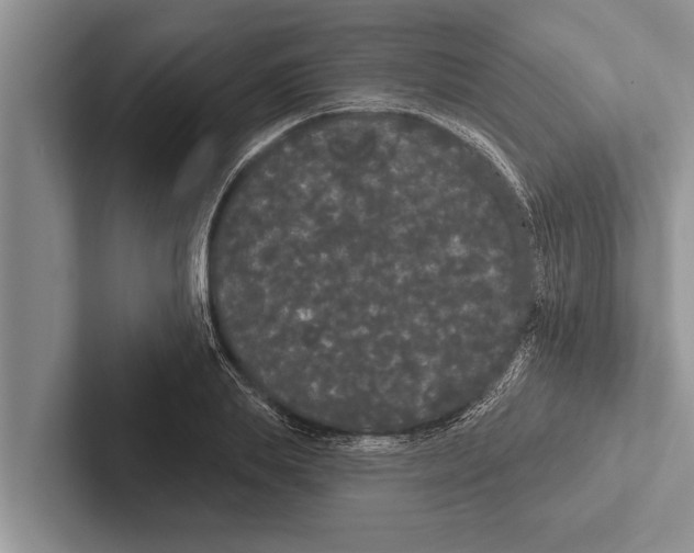 X0000102530839200809051507